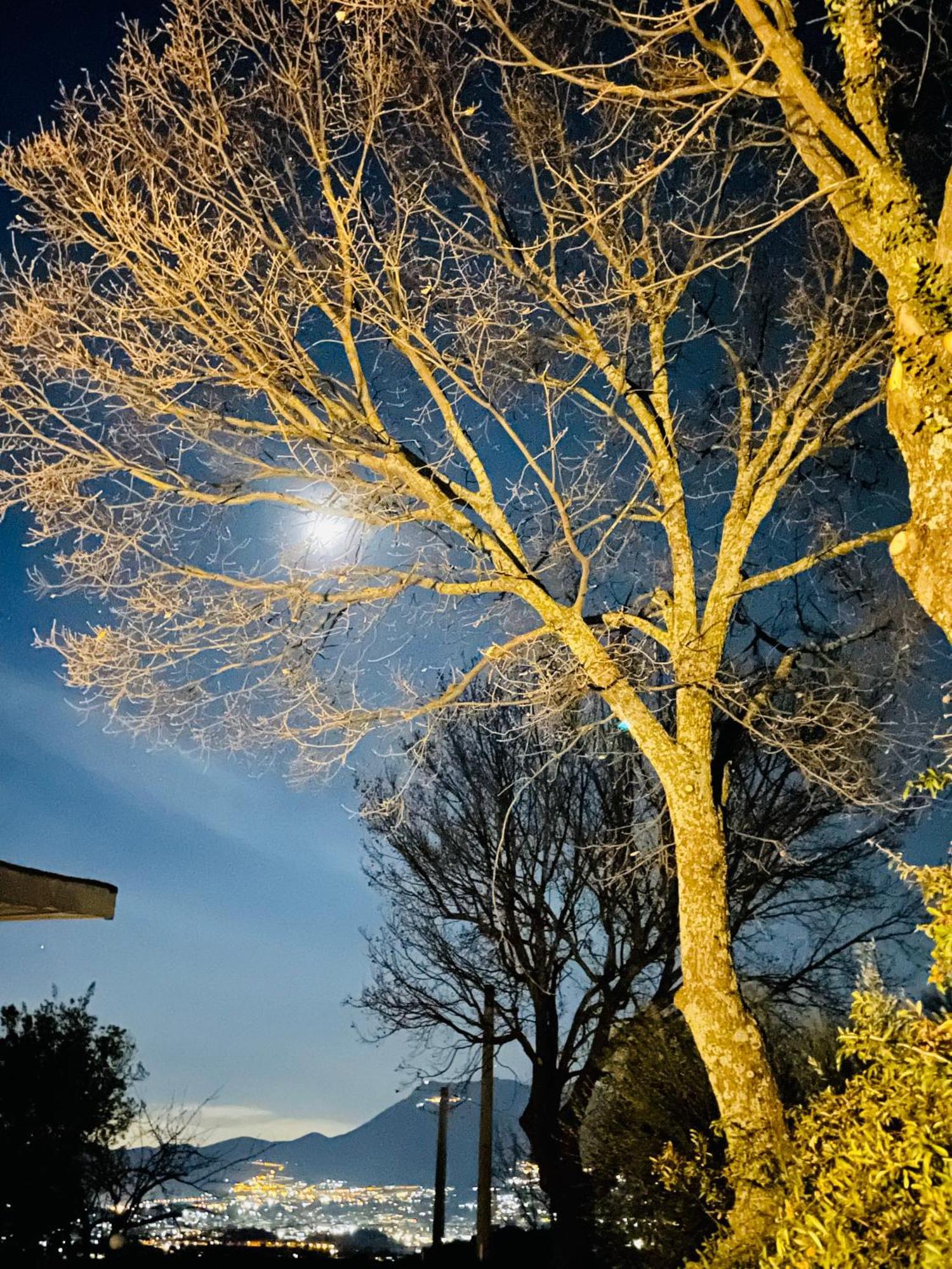 Villa Mandetta B&B Santo Stefano del Sole Exteriör bild