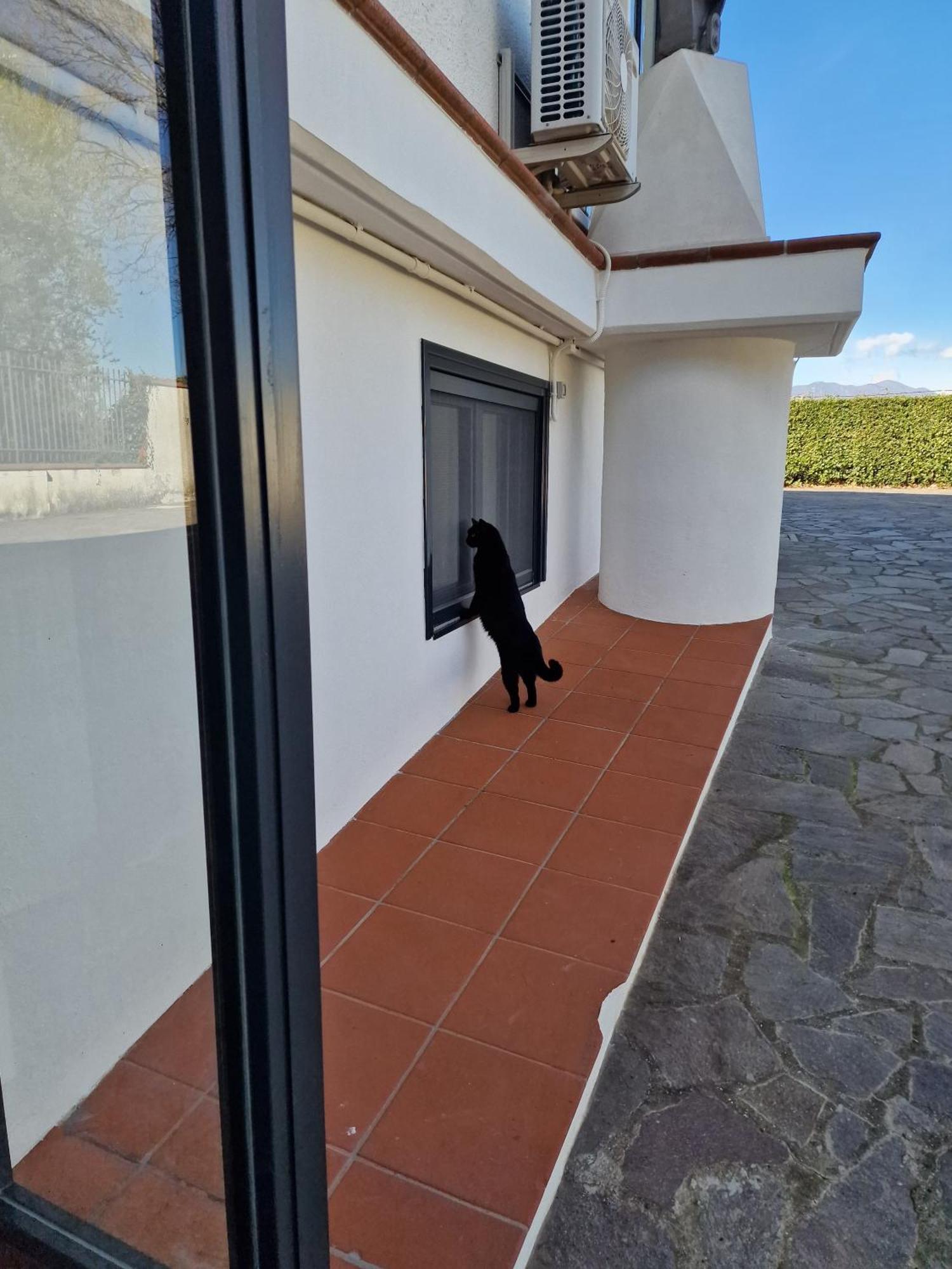 Villa Mandetta B&B Santo Stefano del Sole Exteriör bild
